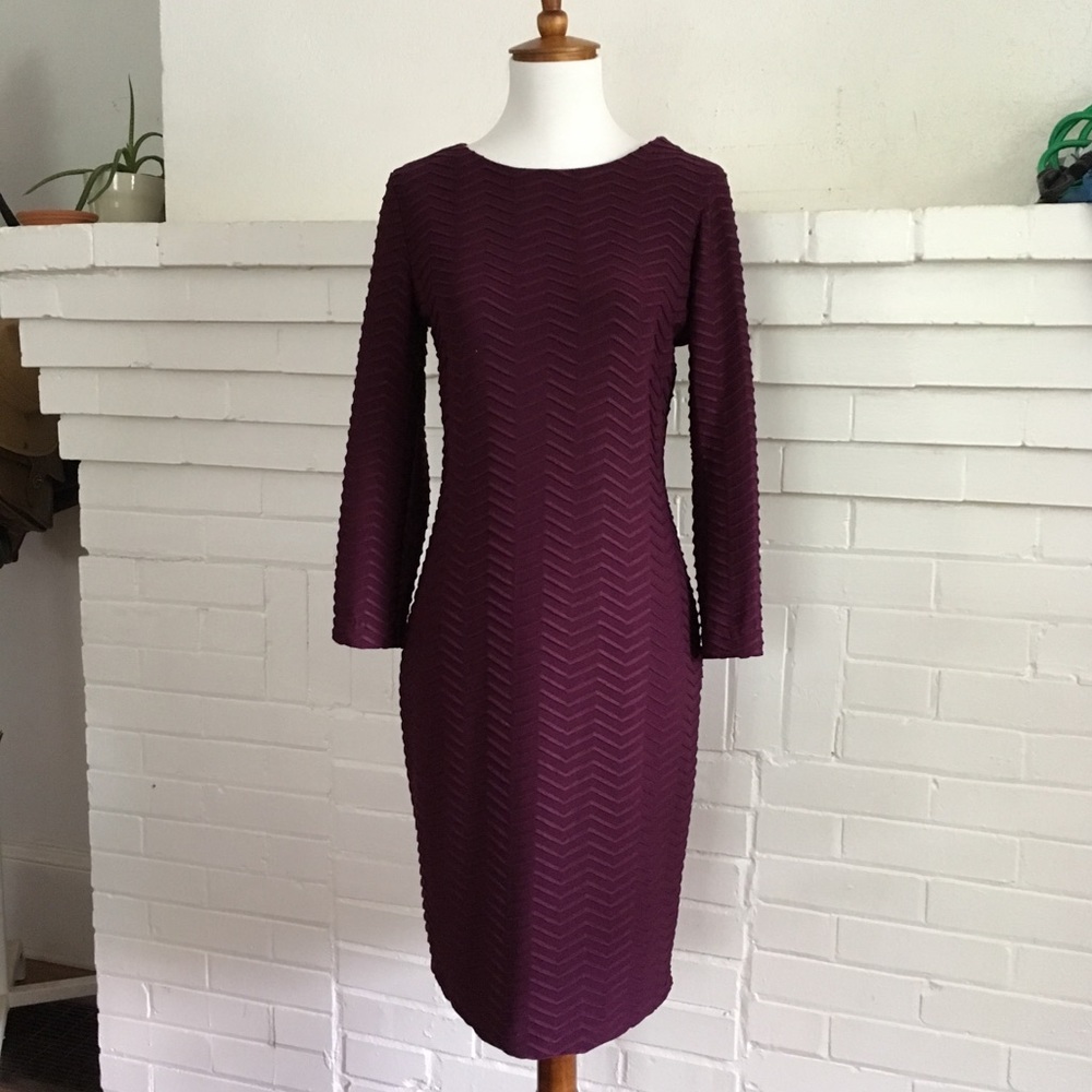 Calvin Klein Slim Fit Dress Size 4